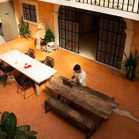 Lool Beh Hostal Альенде Экстерьер фото